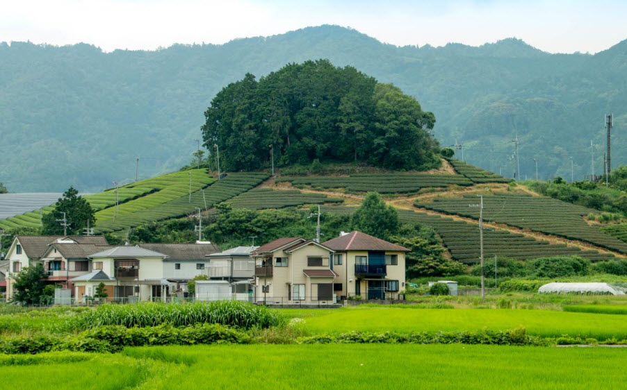 Wazuka, Kyoto